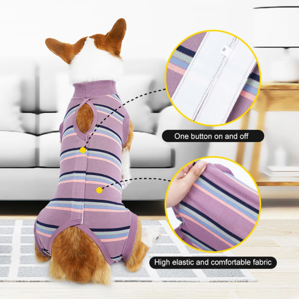 Can I Use A Onesie Instead Of Cone For Dog