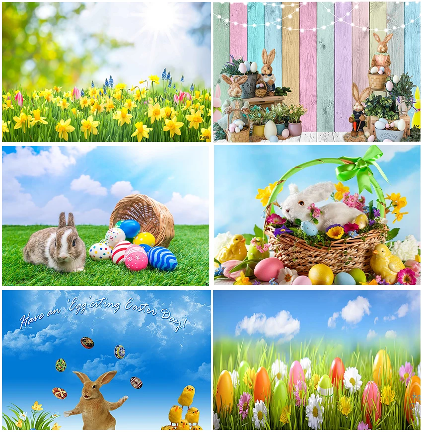 

Весенний фон для фотосъемки с изображением природы пейзажа цветов солнечного света голубого неба кролика яиц сельской местности Пасхи баннера