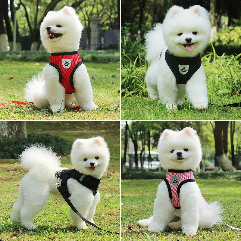 Dog Accessories Breathable Mesh Dog Harness and Leash Set Puppy Cat Harness Vest For Small Dogs Chihuahua arnes para perro 35 pet harness leash set,pet harness set,pet leash set