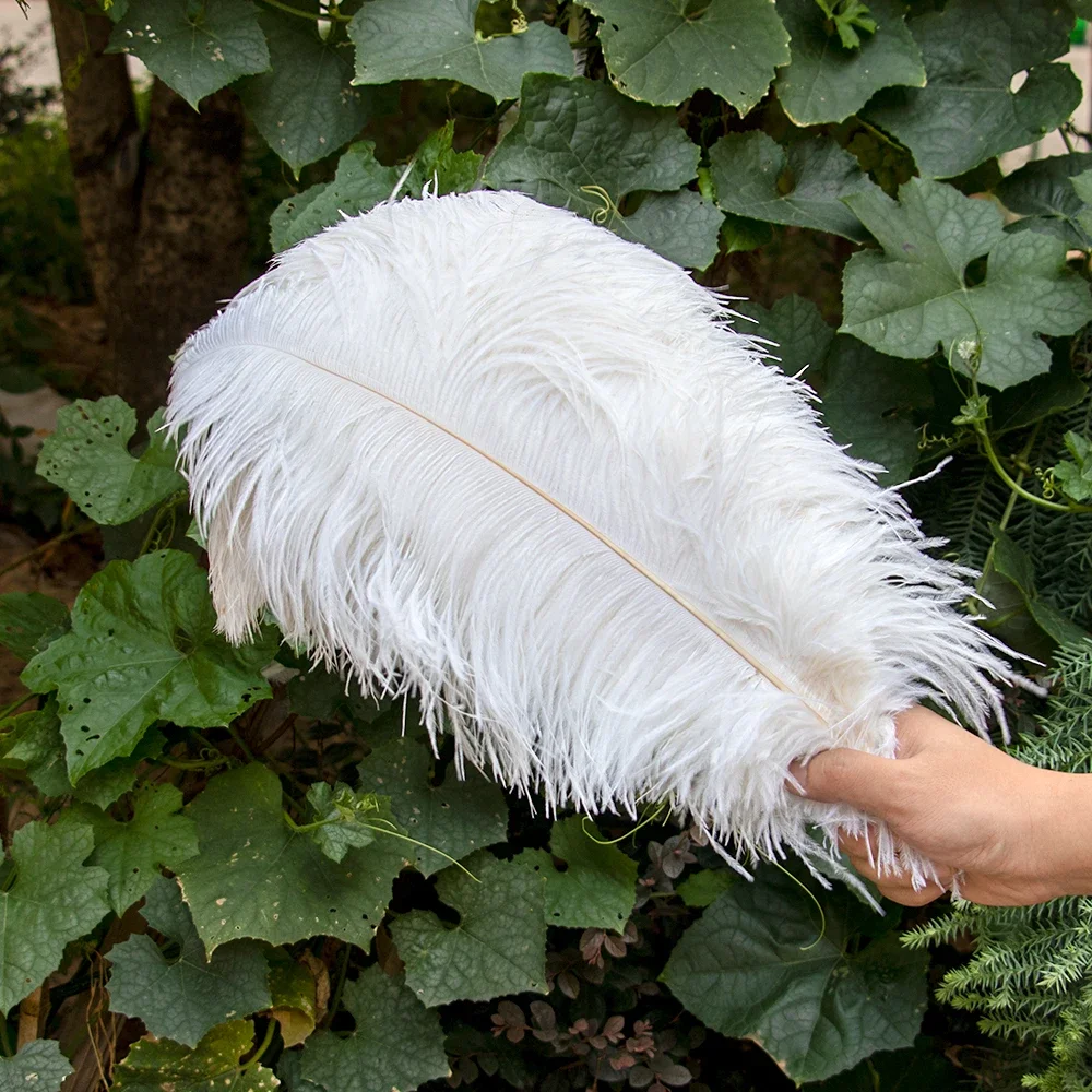 thumbnail image 1 of 10 piezas/lote de plumas de avestruz blancas naturales para manualidades, 15-45 cm, decoración de bodas, fiestas, centros de mesa, carnaval, Plumas Deco, 1 of 5