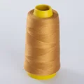 Ginger Color