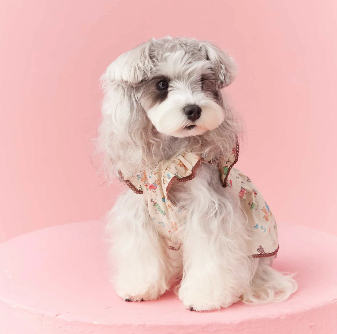 Thin Printed Pet Clothes for Small Dogs, Puppy Clothing, Home Pajamas, Maltese Teddy Schnauzer, Bichon Bear Shirt, Spring