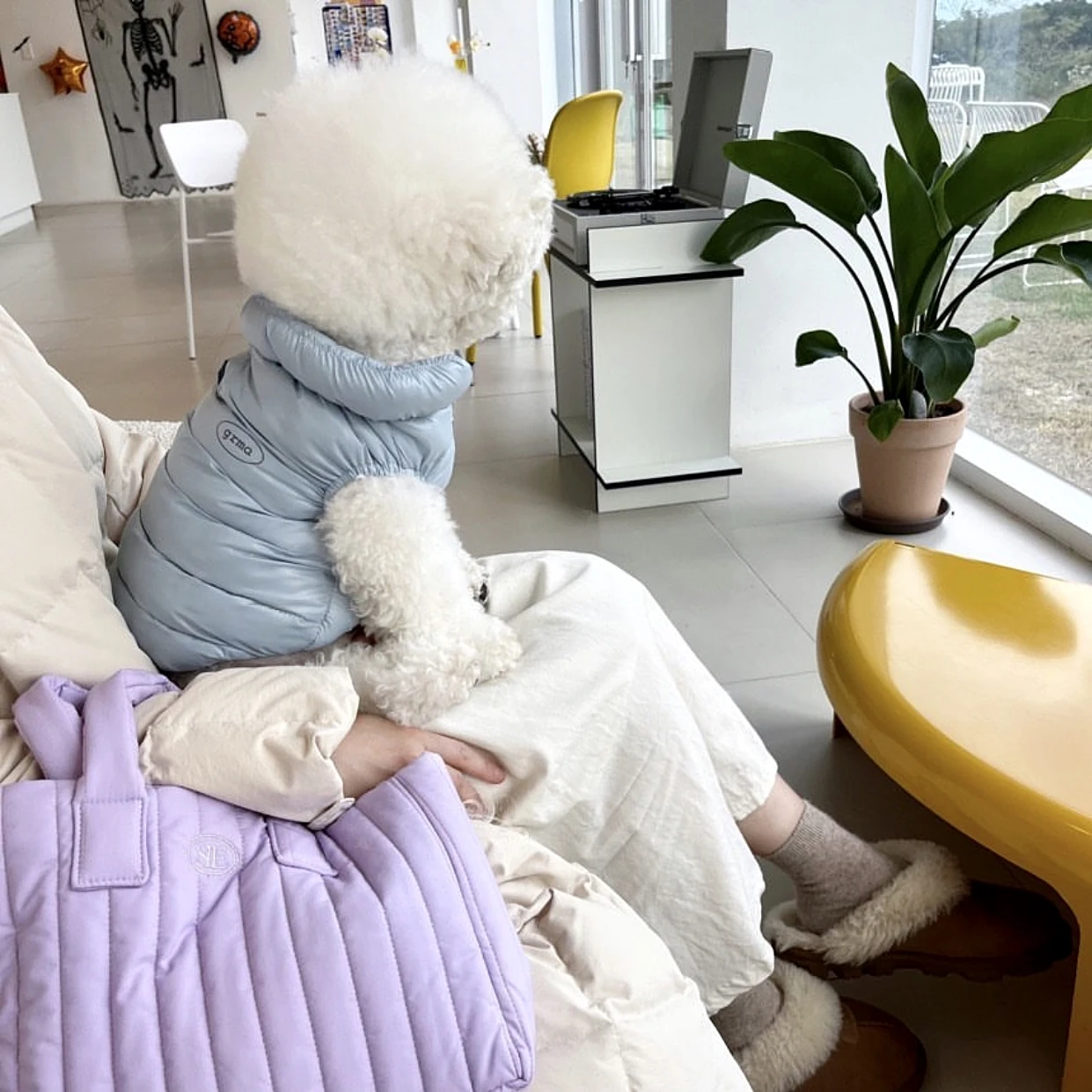 반려동물 겨울 면 옷 따뜻한 강아지 옷, 테디 두꺼운 재킷, 비숑 아웃 단색 다운 코트, 반려동물 용품