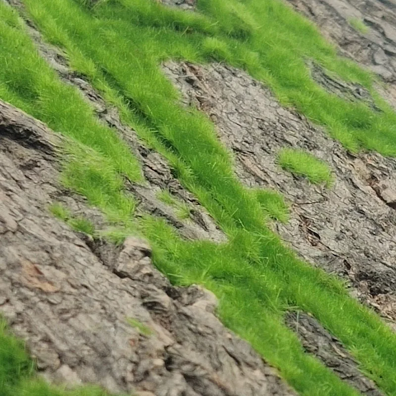 Artificial Moss Bark Fake Plant Simulation Tree Natural Bark Pipe Pillar Cork Cover Outdoor Balcon Wall Decor Garden Decorations