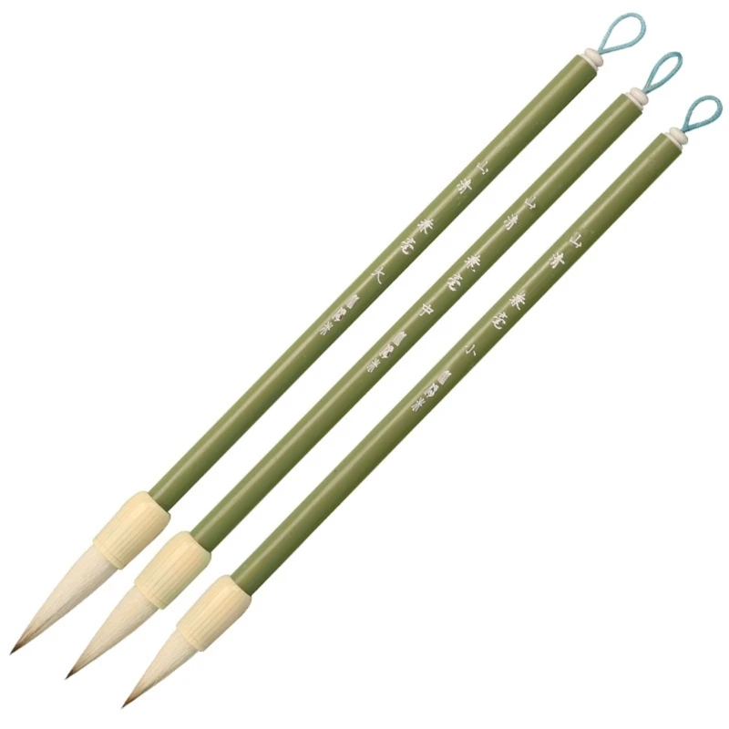 

3x/Set Chinese Brush Set Painting Writing Brushes Gift for Beginners D5QC