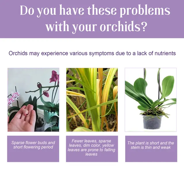 50 Ml Gyors Gyökérzet Orchidea Virág Lombműtét Javítja A Talajnövekedés Talaj Összetevőinek Biztonsági Táplálkozása Elősegíti Műtrágyát - Image 5