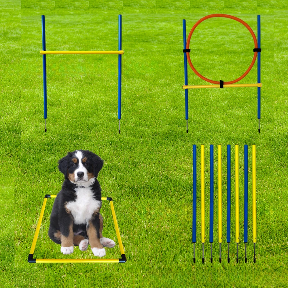 Dog Trainer Agility Training Equipment Dog Obstacle Training Ground Jumping Pole Jumping Circle Jumping Pet Supplies