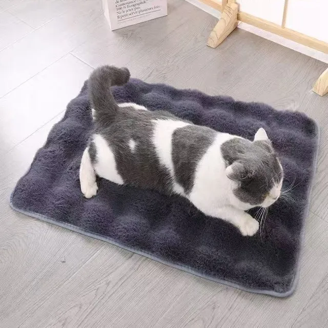 Ultra-Soft Pet mat Winter Warm Dog Blanket Cat bed Sofa Mat Super Comfortable Pet Blanket Pad Mat for Cats Dogs Sleeping Mat 4
