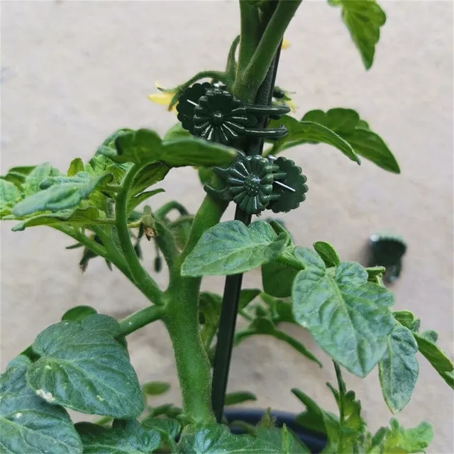 50 Darabos Műanyag Növényi Tartó Klipek Növénytartó Üvegházhatású Növények Rögzítő Kerti Virágok Kötött Köteg Ág Klip - Image 3