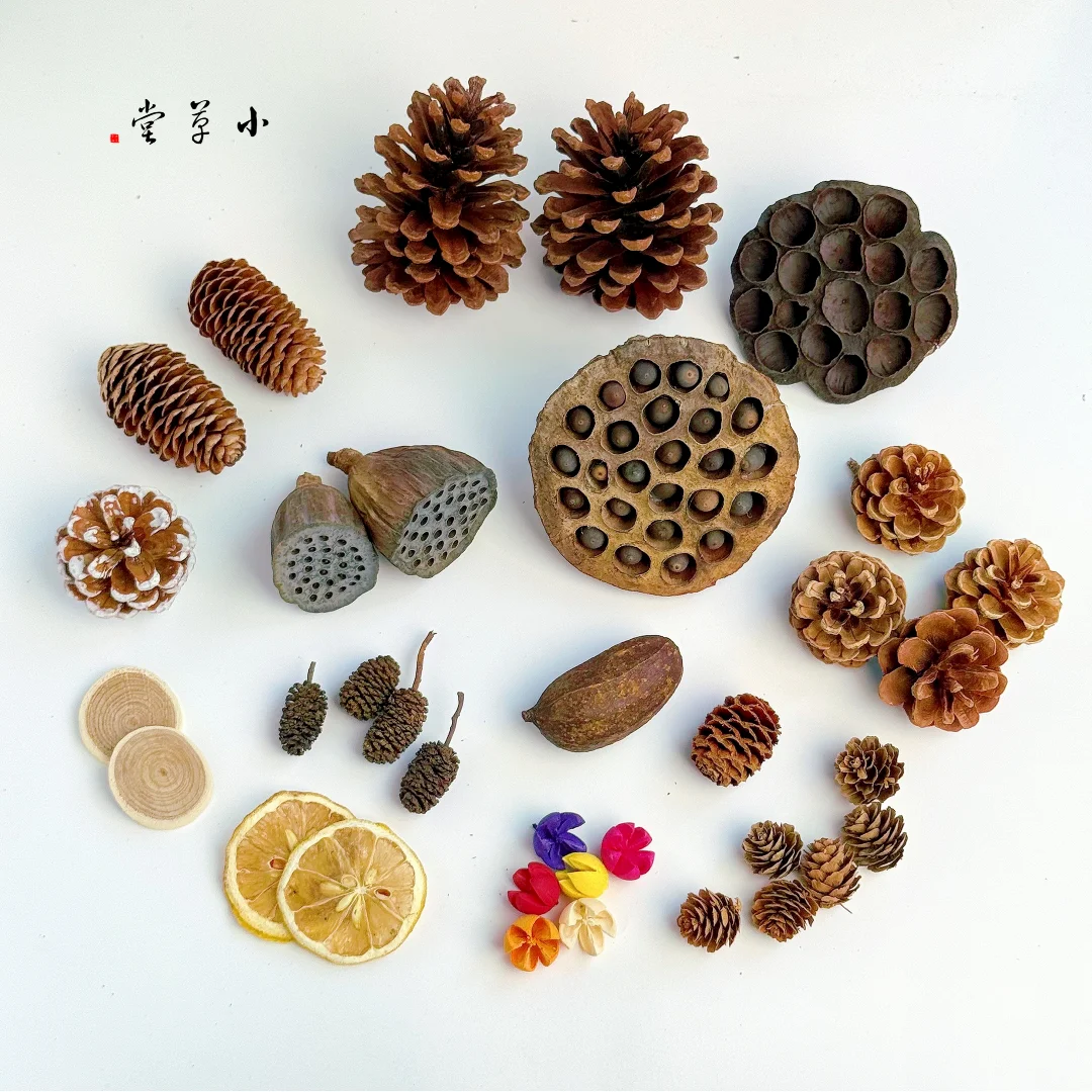 l Dried Flowers And Fruits Decorative DIY Handmade Cisas Scenic Spot ential Oil l Material ell Cone