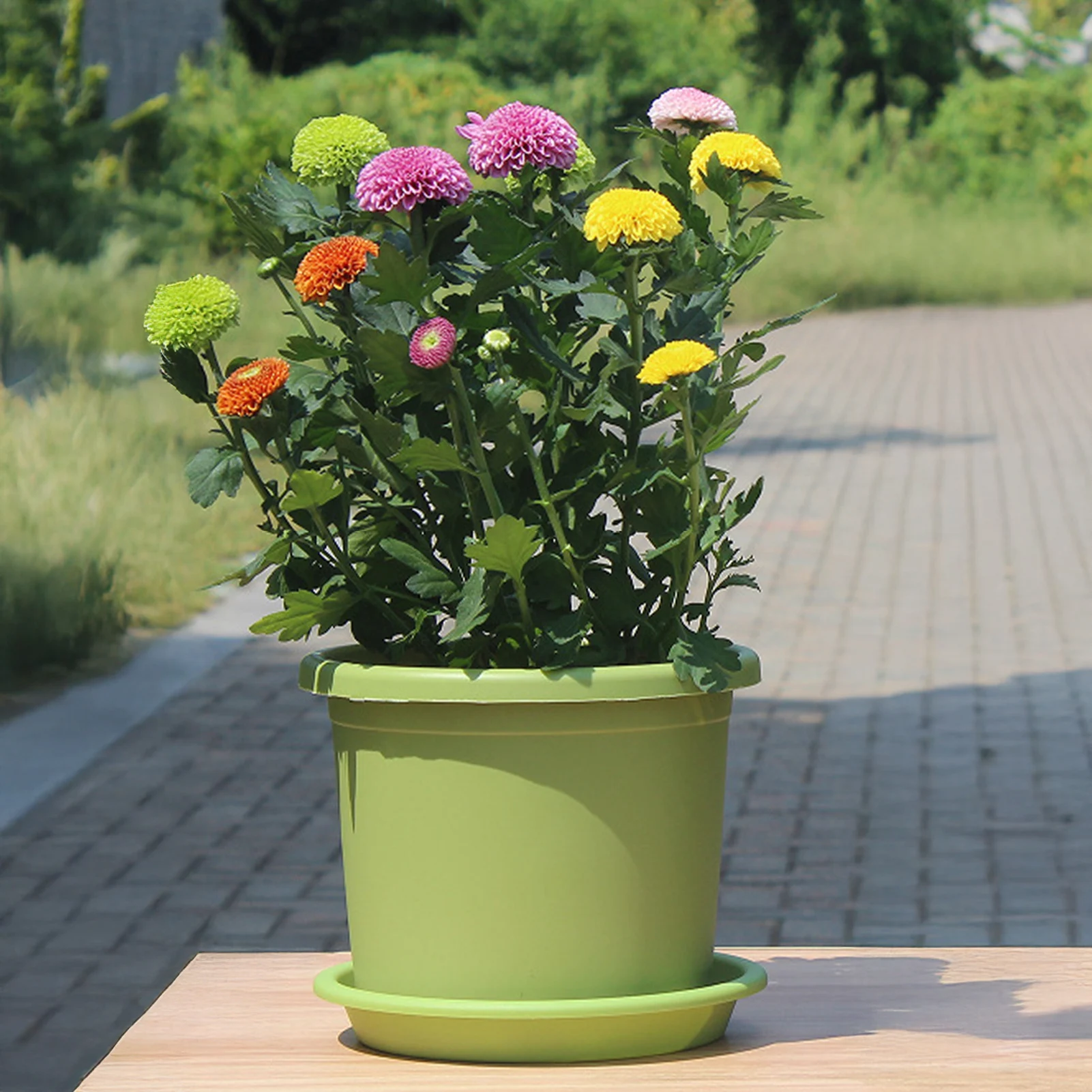 Enhanced Thickened PP Plastic Flowerpot