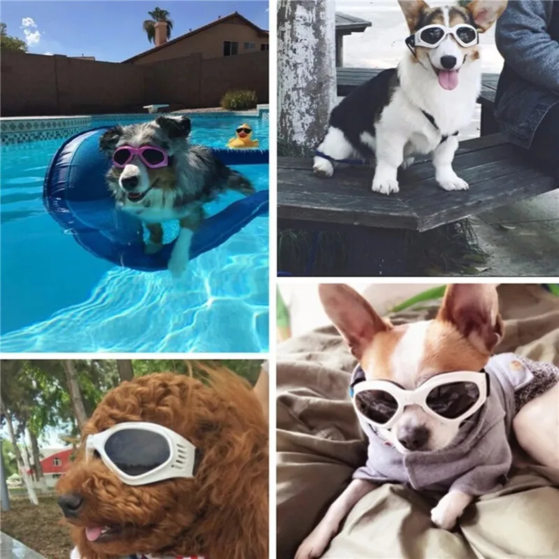 Title 8, 6 Colors Cute Pet Dog Sunglass Sun Glasses Pet ...