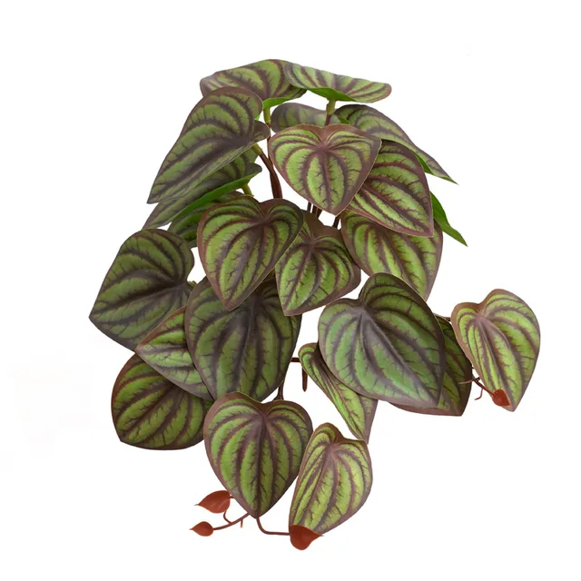 Red watermelon leave