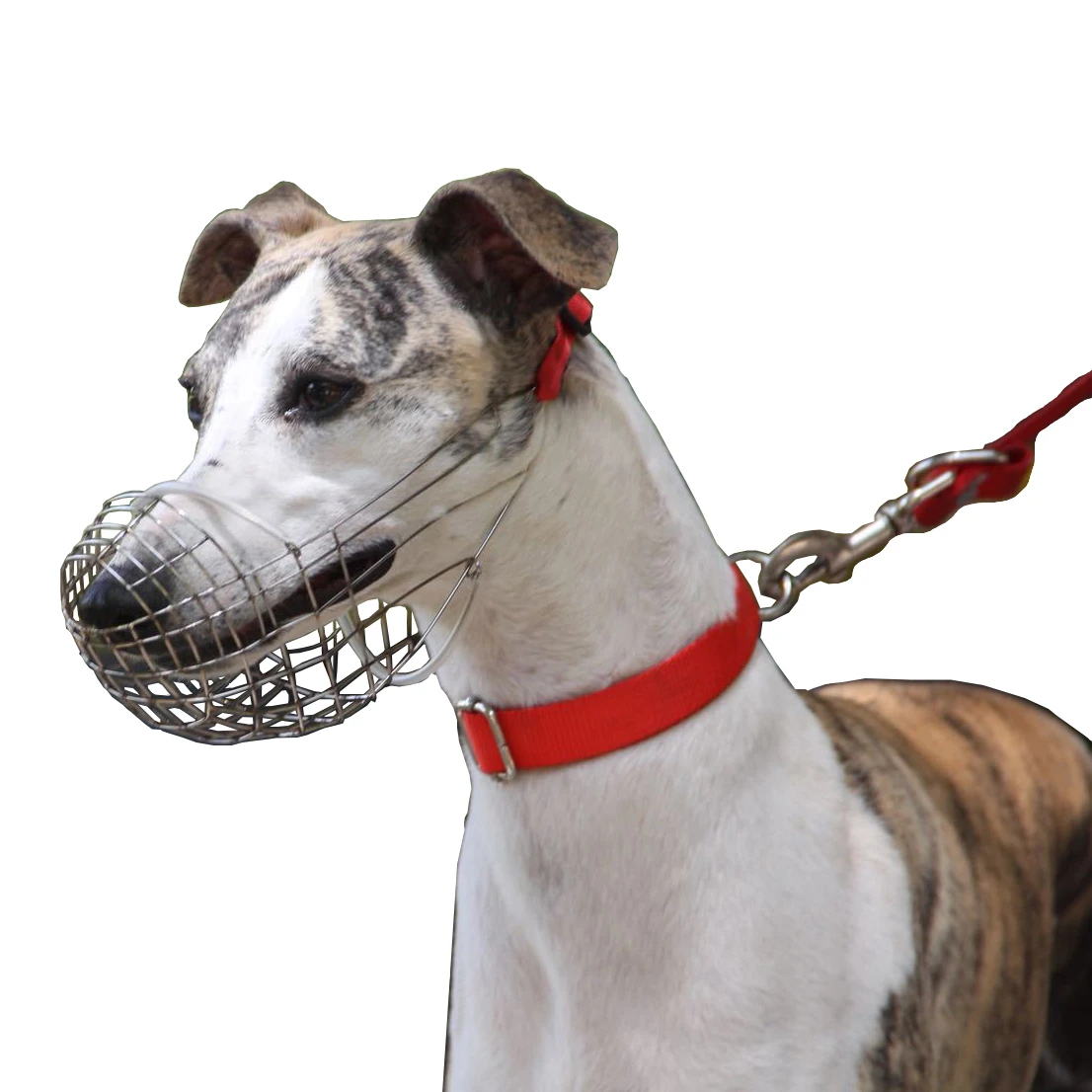 Wire Basket Dog Muzzle for Greyhound Adjustable Stainless Steel Basket