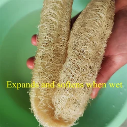 Natural Loofah Sponge - Multi - Purpose Cleaning and Exfoliating Tool (2pcs 30 - 40cm)