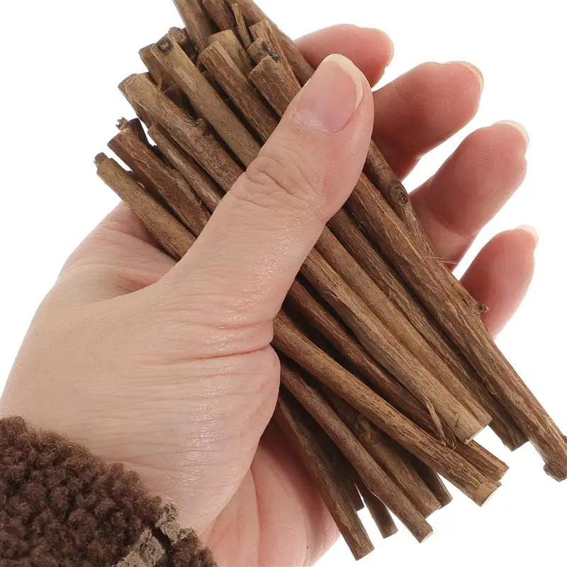 

100pcs Natural Wood Log Sticks for DIY Crafts Branch Tree Bark Discs Stick DIY Craft Woodworking Tool Tree Bark Discs Stick
