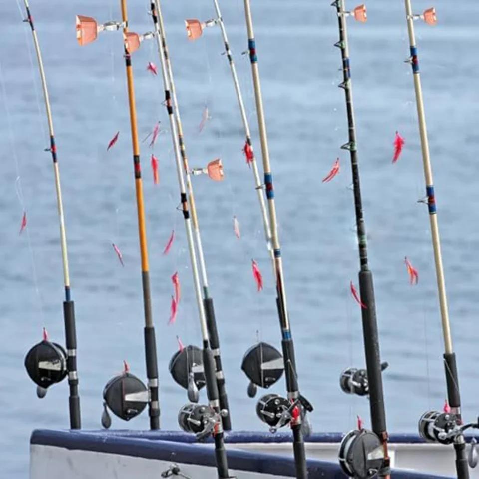 Set Di 6 Campanelli Da Pesca Con Allarme Lampeggiante