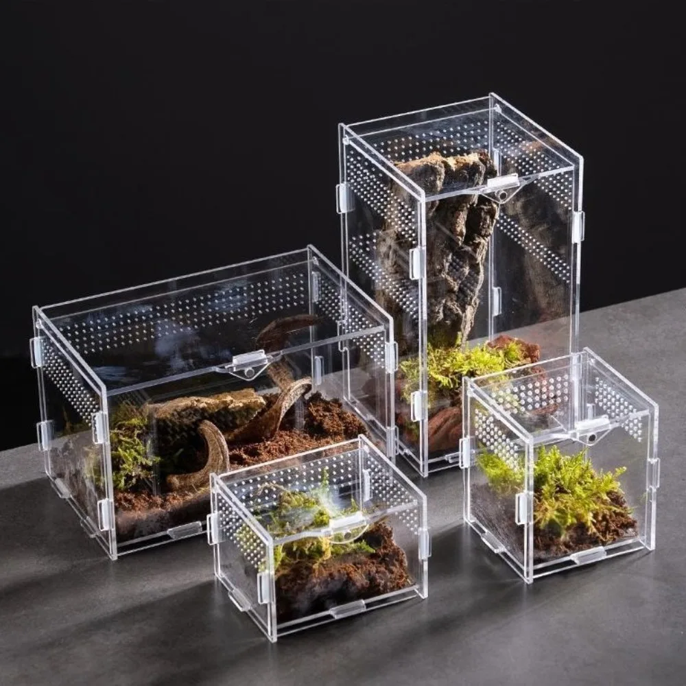 Acrylic Reptile Habitat 1