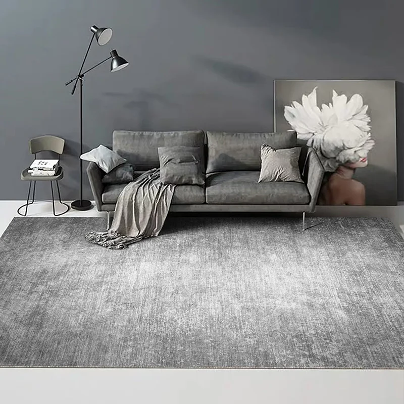 Minimalist Gray Carpets for Living Room Modern Luxury Bedroom Decor Large Area Carpet Soft Lounge Rug Home Washable Non-slip Mat 2