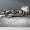 Minimalist Gray Carpets for Living Room Modern Luxury Bedroom Decor Large Area Carpet Soft Lounge Rug Home Washable Non-slip Mat 2