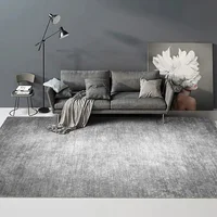 Minimalist Gray Carpets for Living Room Modern Luxury Bedroom Decor Large Area Carpet Soft Lounge Rug Home Washable Non-slip Mat 2