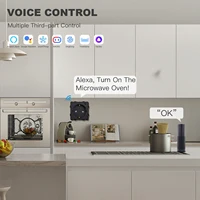 BSEED EU Stanndard Wifi Electrical Sockets Power Monitor Outlets Tuya Smart Life Alexa App Control Timing Function DIY Parts - Image 4