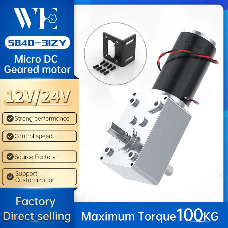 Motoriduttore a Doppio Albero DC 12V Motoriduttore a Vite Senza Fine Autobloccante e Reversibile per Forni e Lavatrice Torsione 25 Kg.cm (10RMP