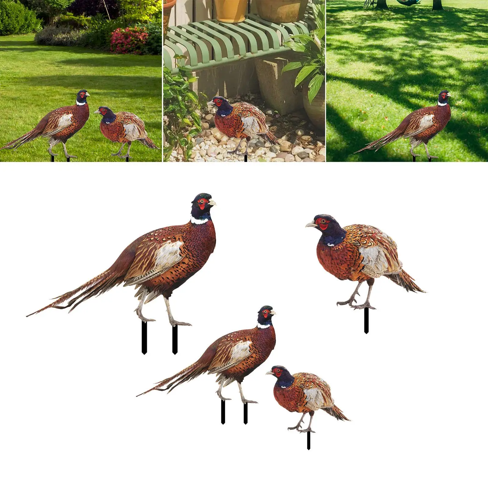 

Pheasant Sculpture Gifts Easy to Use Animal Stakes for Pathway Backyard
