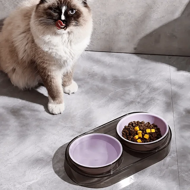 Durable Elevated Dual Bowl Feeder | Raised Pet Feeding Station with Non-Slip Stand, Easy Feeding for Cats & Small Dogs 4