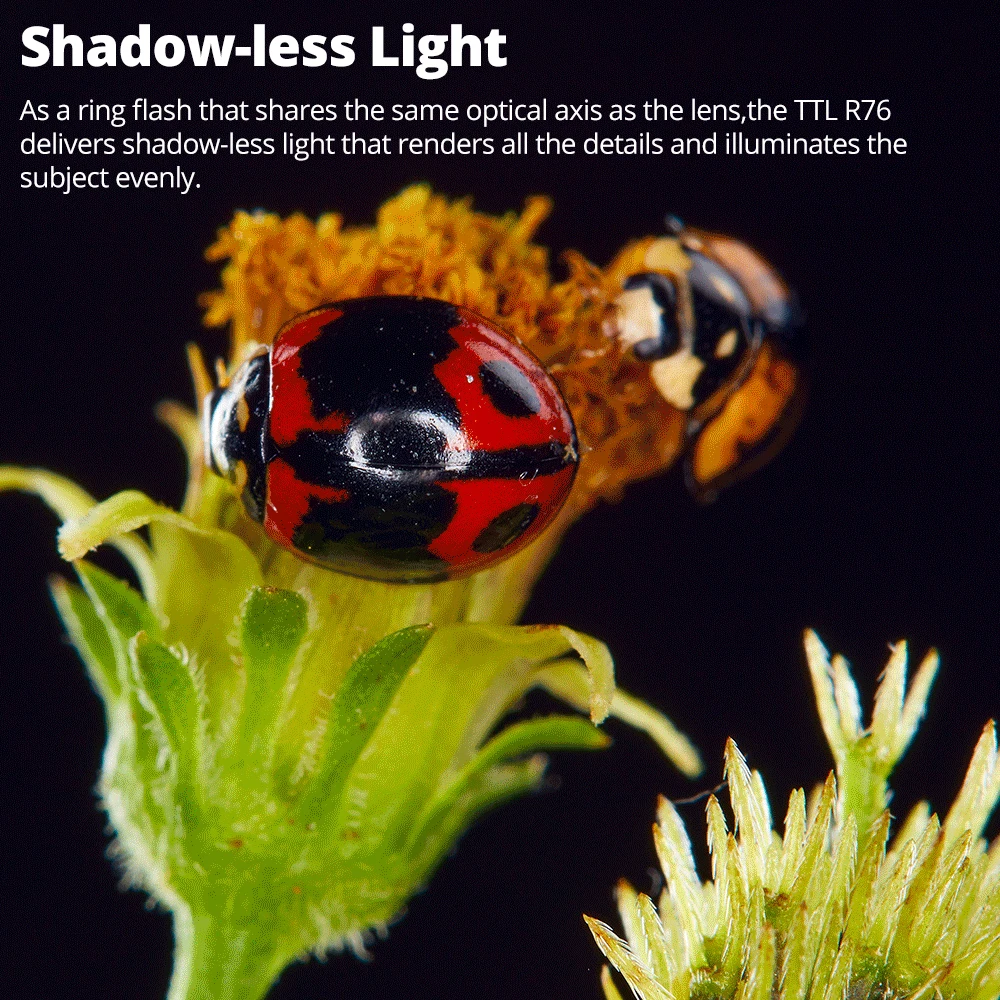 Godox MF-R76C MF-R76N MF-R76S TTL HSS 2.4G Wireless Macro LED Ring Light Speedlite Flash Light Canon Nikon Sony Camera