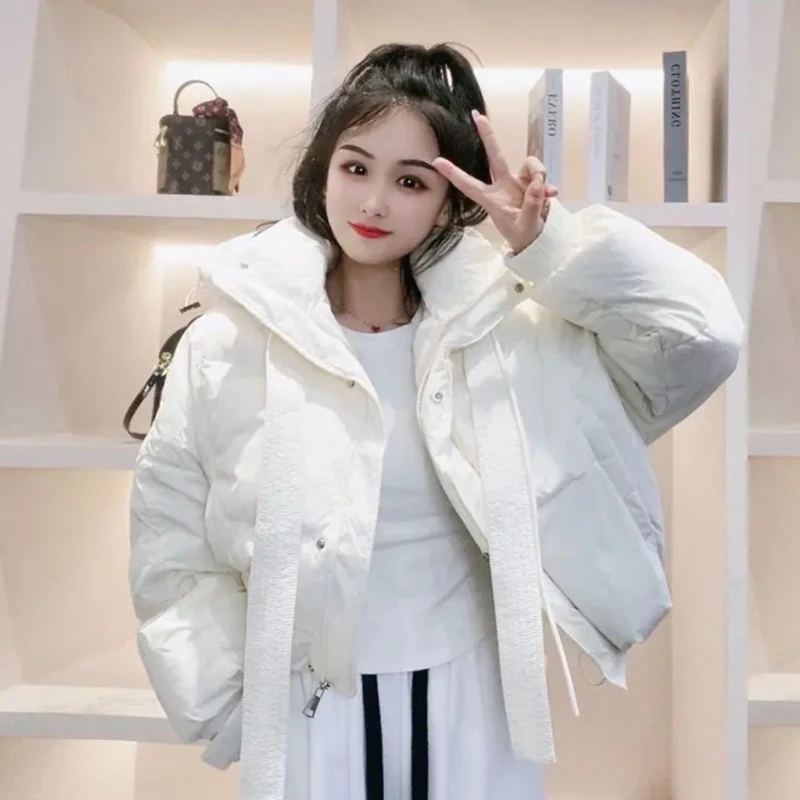 

Female Winter Warm Windbreaker Down Jackets for Women Long Vintage Stand Collar Puffer Coat Women's Clothing Jacket G909