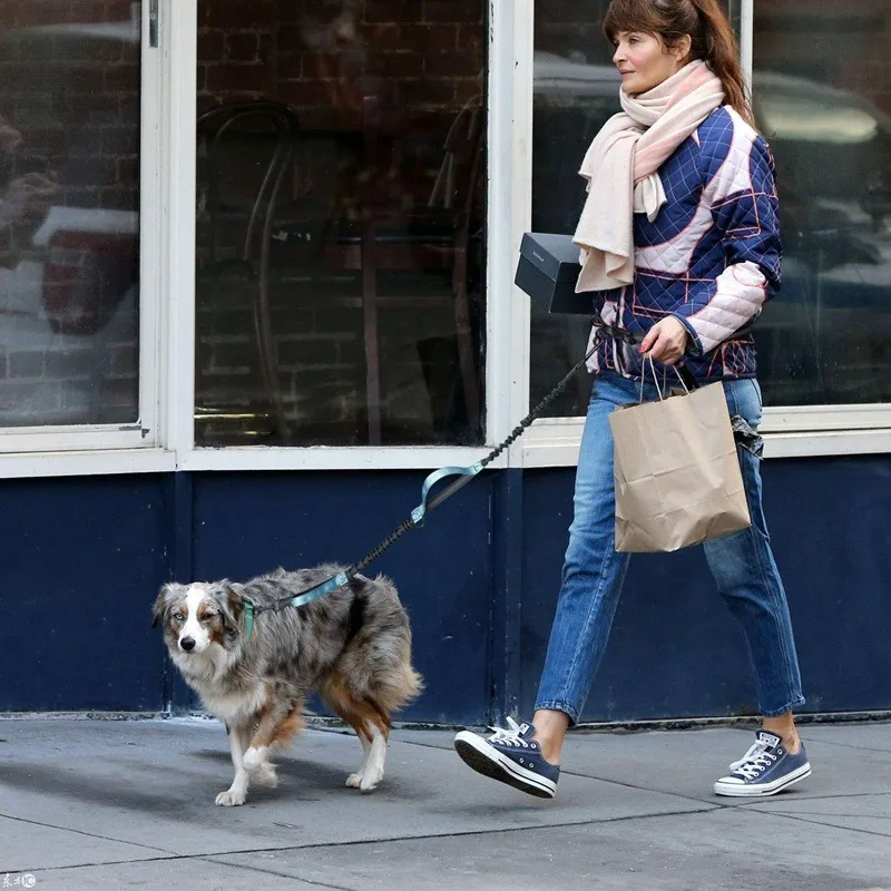 Retractable Hands Free Dog Leash 2