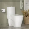 Elongated One Piece Toilets for Bathroom 1.1/1.6 GPF Dual Flush Toilet with Soft Close Comfortable Seat 12'' Rough-In Skirted 1
