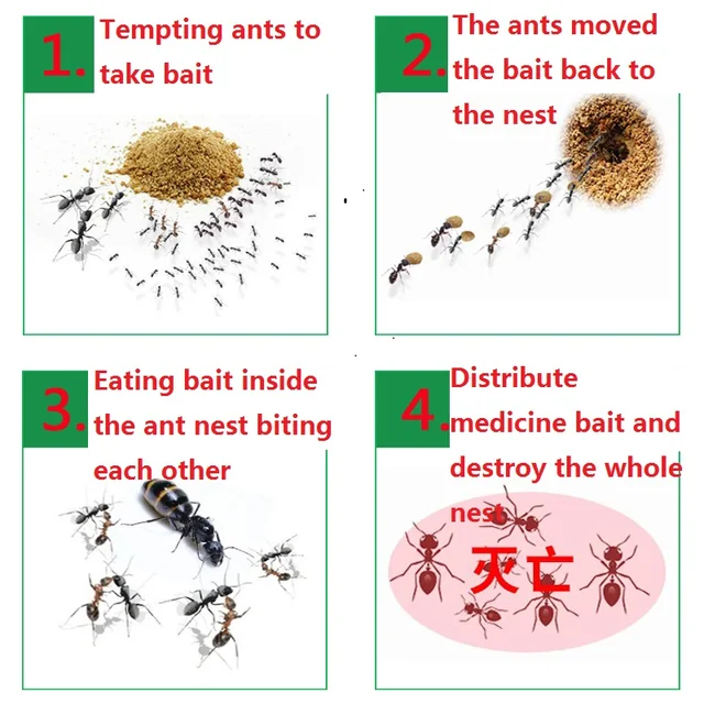 200Db Hangyák Csali Por Sárga Fekete Hangya Növényvédő Szerek Otthoni Kártevőirtó Gyilkos Háztartási Tisztító Készletek - Image 4