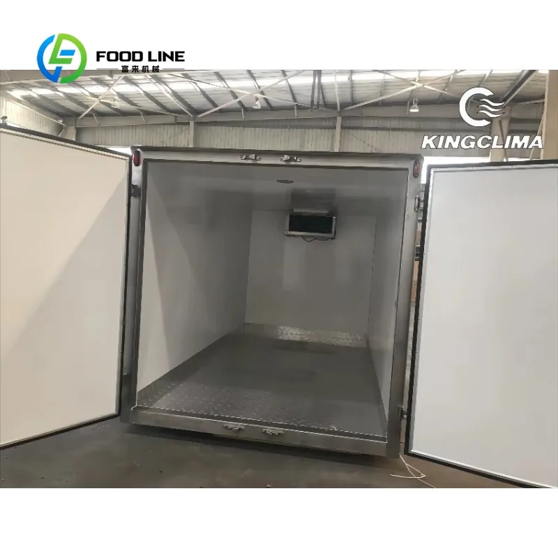 Unità Refrigerante Mobile Personalizzata ad Alta Efficienza con Cella Frigorifera su Misura per Trasporto Refrigerato e Stoccaggio Alimenti - Image 6