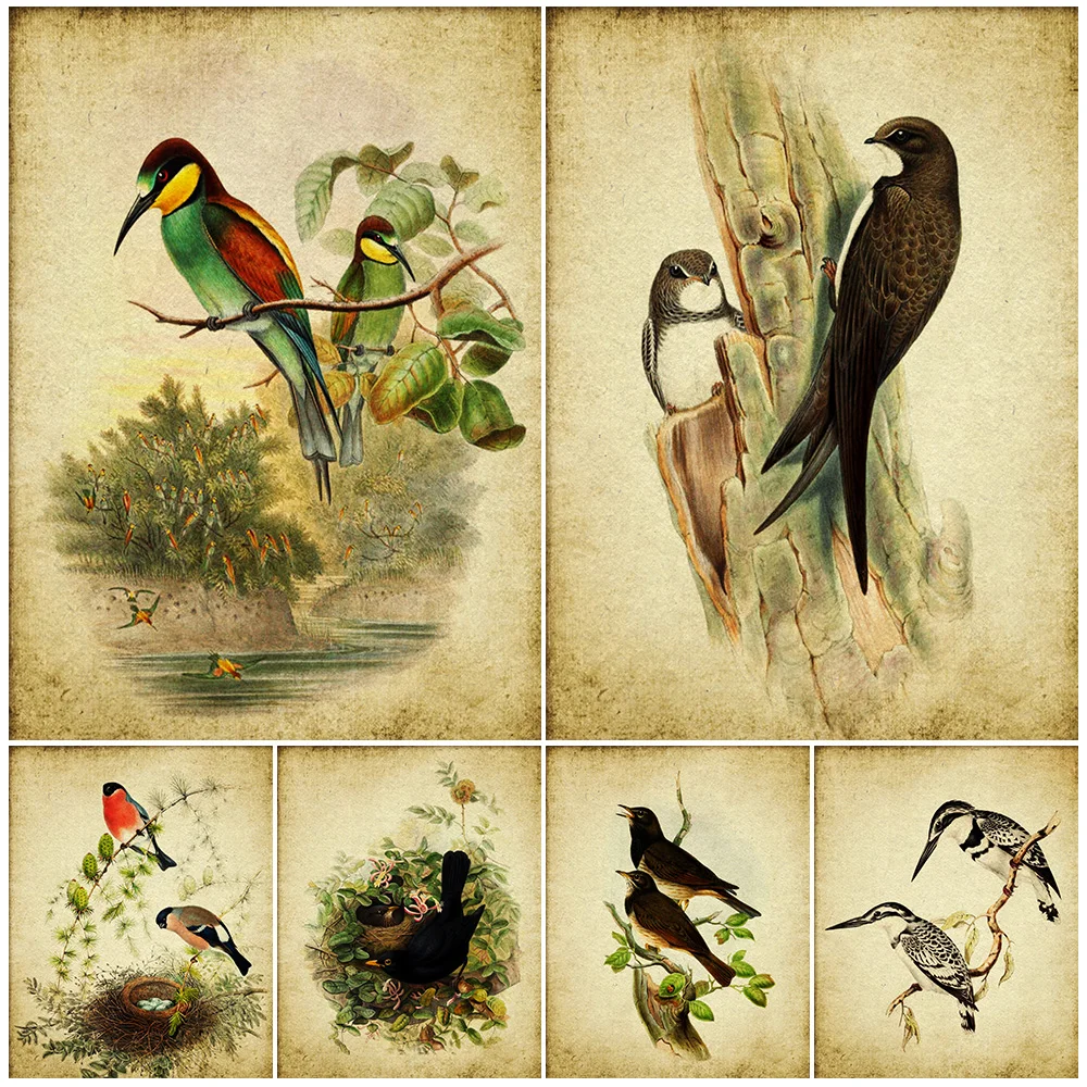 

Swift Bird,Bee Eater Bird,Thrush Bird,Bullfinch Bird,Falcon,Vintage Wall Art Print,Rustic Instant Bird Vintage Art Poster Print
