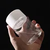 Mini Hydroponic Flower Pot Home Vase Decor Transparent Imitation Glass Soilless Plant Pots Green Plants Pot For Home Decoration 4