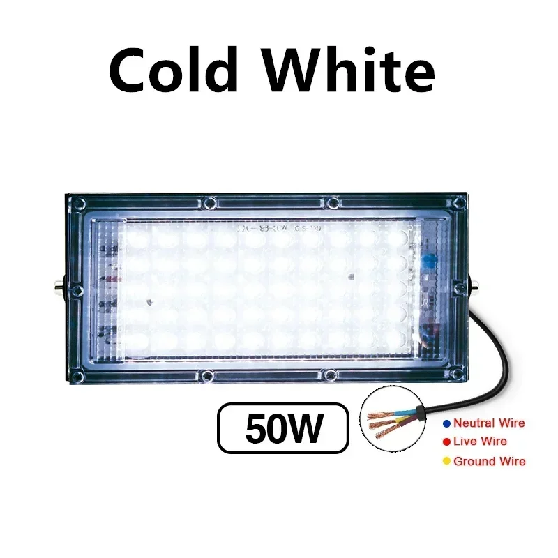 50W No Plug CW