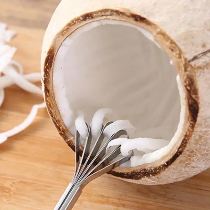 

Coconut Grater Creative Stainless Steel Shredded Coconut Knife With Long Handle For Coconut Meat Fish Kitchen Accessories