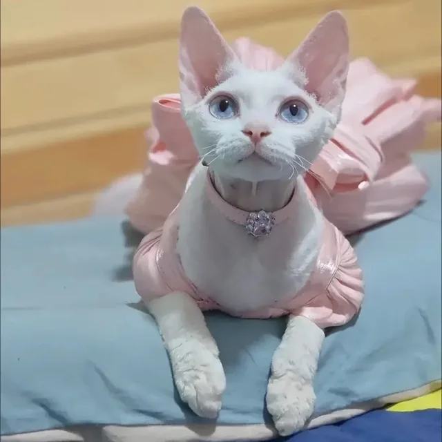 Fashion Sphynx Cat Full Dress with Bow Sweet Pet Wedding Dresses Clothes for Cats Gotas Kitten Skirt mascotas Costume vestidos 3