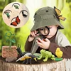 Animal Life Cycle Board Children Toys Montessori Teaching Aids Plant Animal Growth Cycle Model Set preschool cognitive Toys 1