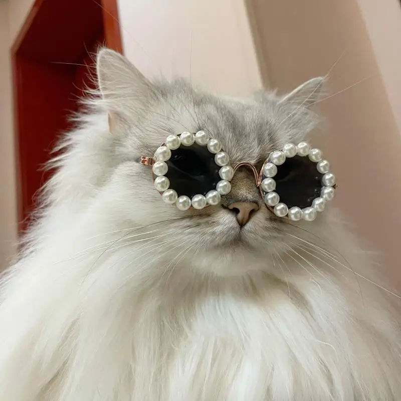 Gafas de sol de perlas de lujo para mascotas, tocado, gafas de sol de perlas para perros pequeños, accesorios para fotos de gatos