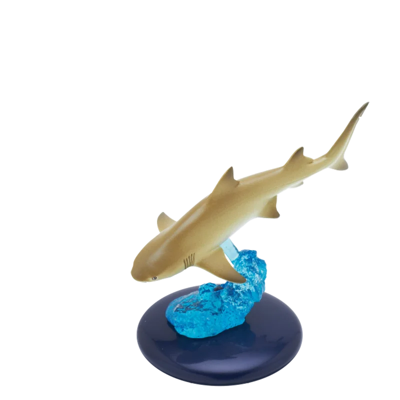 セール中　SHARK 豪華版　初回限定生産　5枚組　レア SHARK DVD-BOX 豪華版〈初回限定生産・5枚組〉