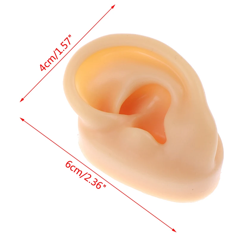 Ear Model 1PCS Soft Silicone Ear Model For Jewelry Display 1:1 Human Ear Model Simulation With Acrylic Display Teaching Tools Practice