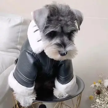 Veste en fourrure épaisse pour petits chiens - 2025 - Doglovedesign : Vêtement et accessoires pour chiens