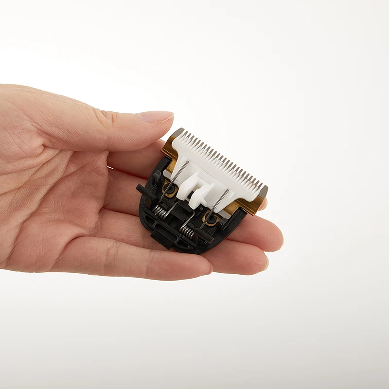 Рисунок 5 - оригинальный керамический титановый