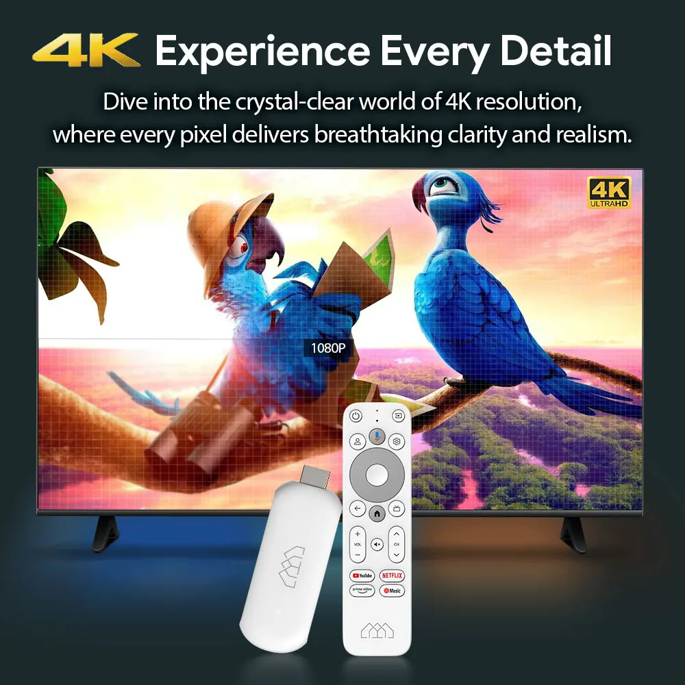HOMATICS 4K TV Stick Netflix Google Certified 2GB LPDDR4 32G ROM Amlogic S905Y4 Support Dolby Atmos H.265 2T2R Wifi Google box 6