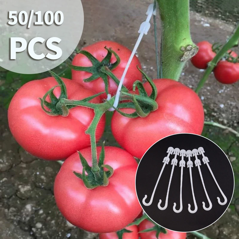 50/100pcs Tomato J-hook Plastic Vegetable Fruit Cherry Grape Vine Fixed Buckle Hook Plant Support Clip Fastener Garden Supplies