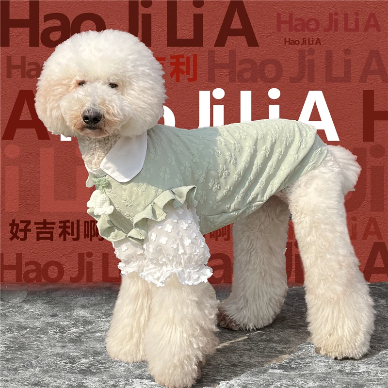 Pets Giant Dogs Clothes Fashion New Arrivals For Poodle AliExpress