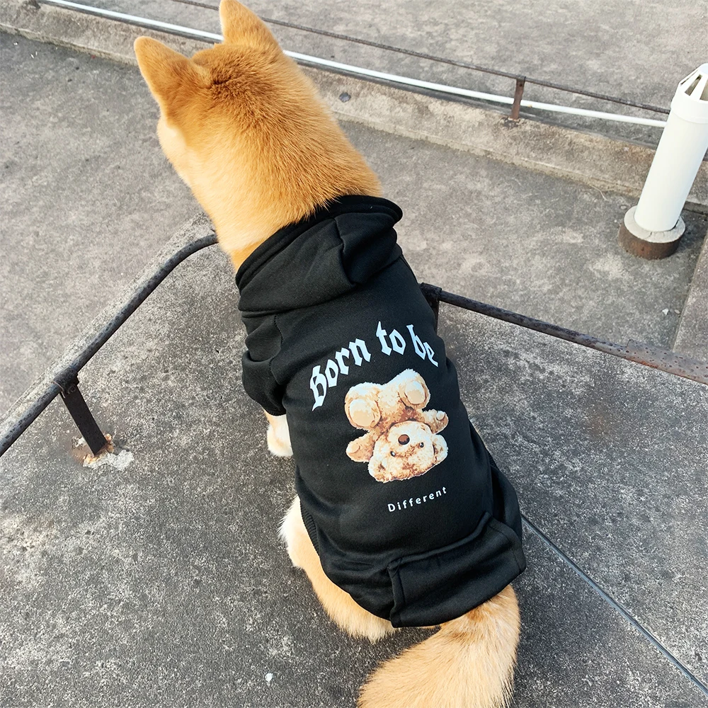 Sweat à capuche pour chiens Born to be Different - 2025 - Doglovedesign : Vêtement et accessoires pour chiens